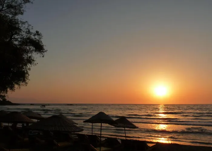 מלון Villa Hotel